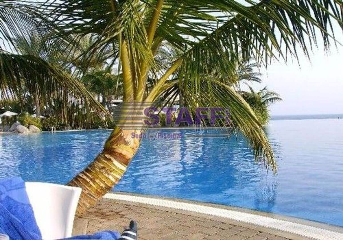 Piscinas Grandes complejos Piscinas Grandes complejos